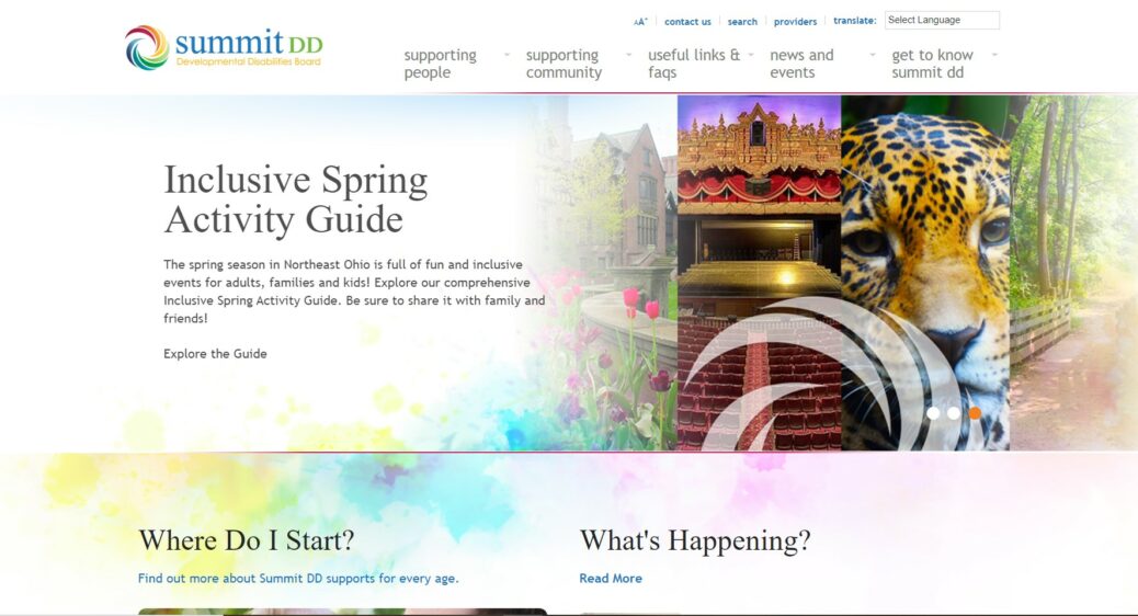 Image of Summit DD's website homepage