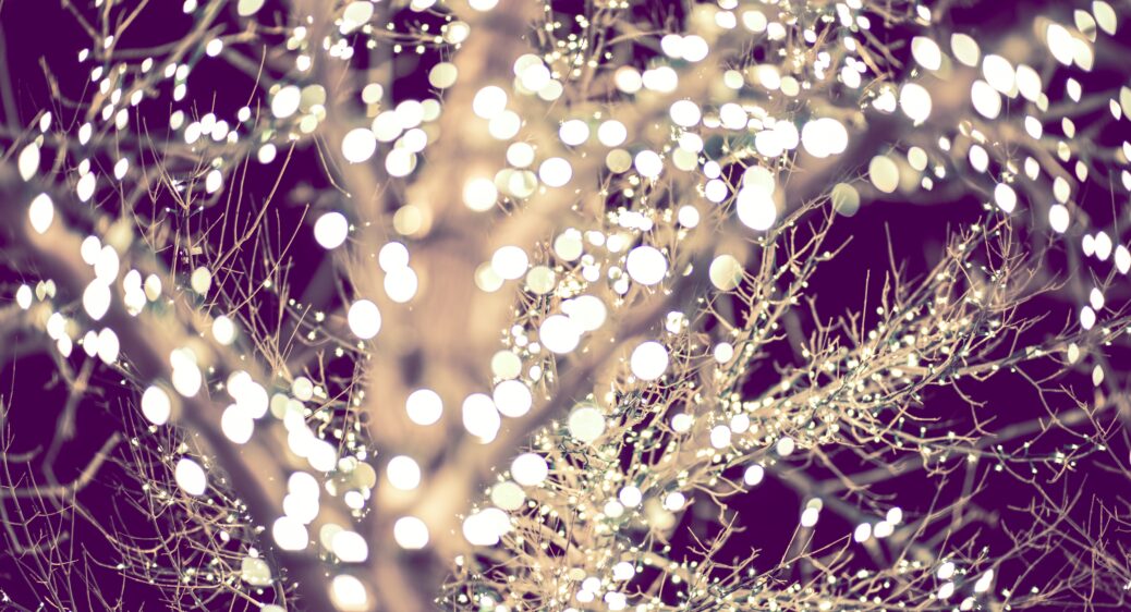 Decorative. Holiday Lights on a winter tree